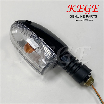 Motocicleta Direccionales KG/SL0039 Signal light