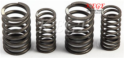 GN125H Engine Valve Spring for SUZUKI