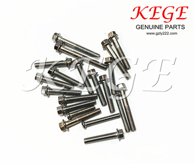 ENGINE SCREW FOR SUZUKI GN125H