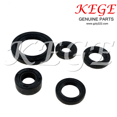 COMPLETER OIL SEAL FOR GN125H SUZUKI